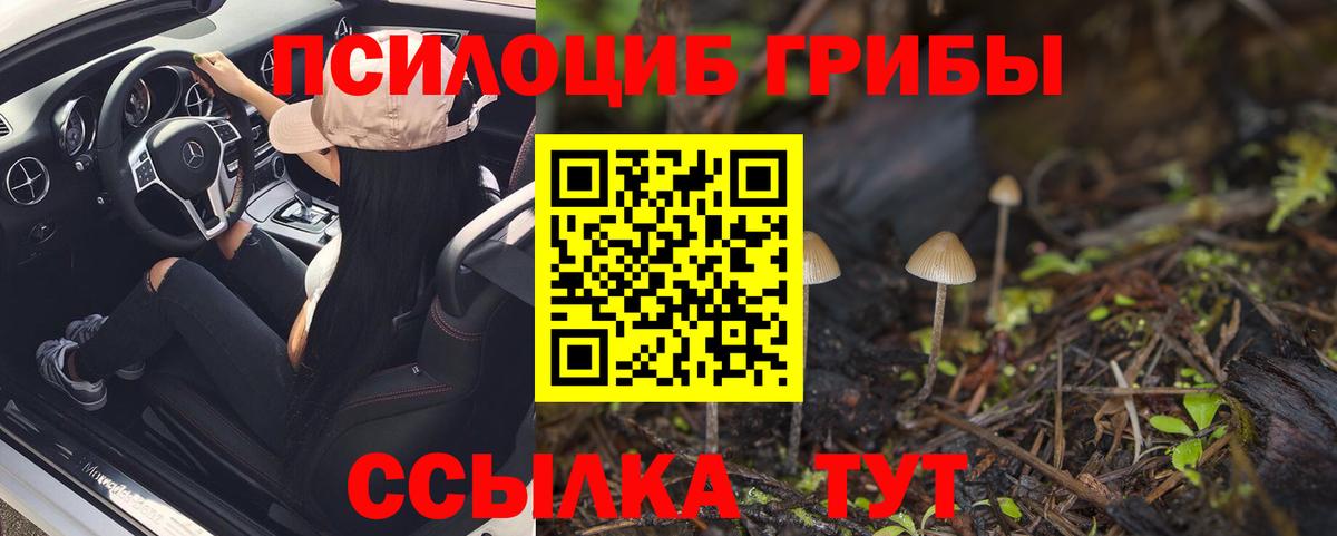 Галлюциногенные грибы мицелий Хабаровск